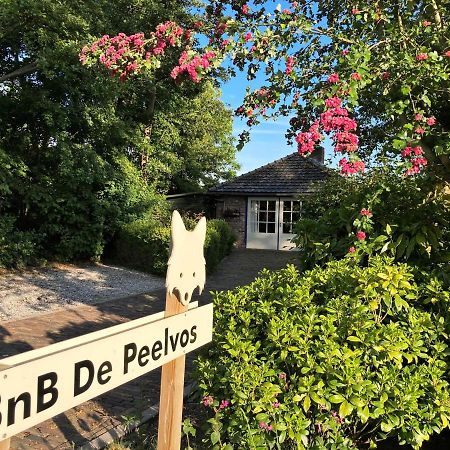 Bnb De Peelvos Дёрне Экстерьер фото